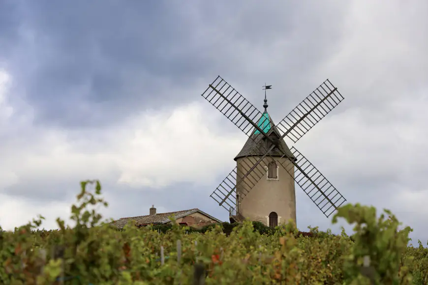 A Gourmand’s Guide to Exploring Burgundy and Beaujolais