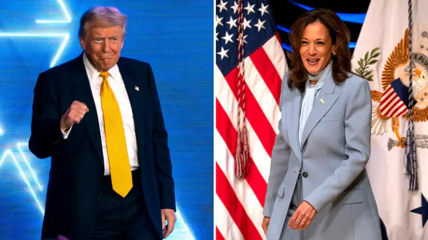 Siena Poll: Harris leads Trump by 19 points in NY