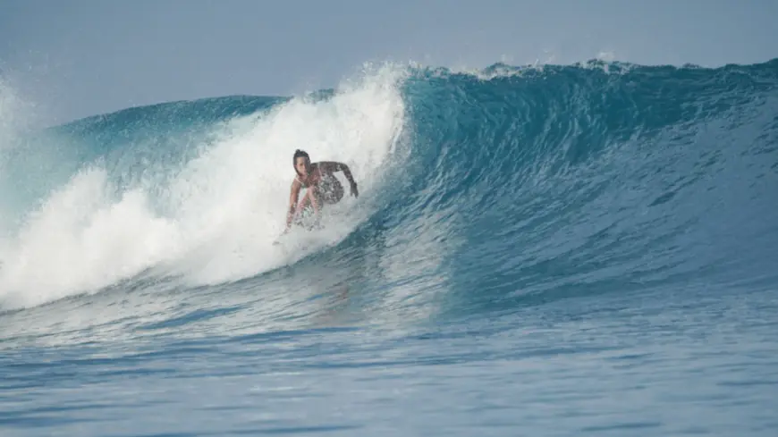 Surfer dies after being struck, impaled by swordfish