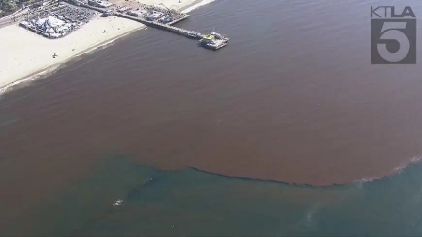 Large algae bloom spotted off Santa Monica Pier 