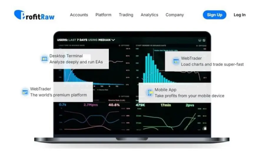 ProfitRaw Review: Precautions To Take Before Investing in Forex