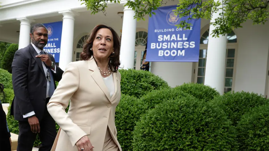 'Smacks of blatant vote-buying': Legal experts call Harris proposals for Black men 'unconstitutional'