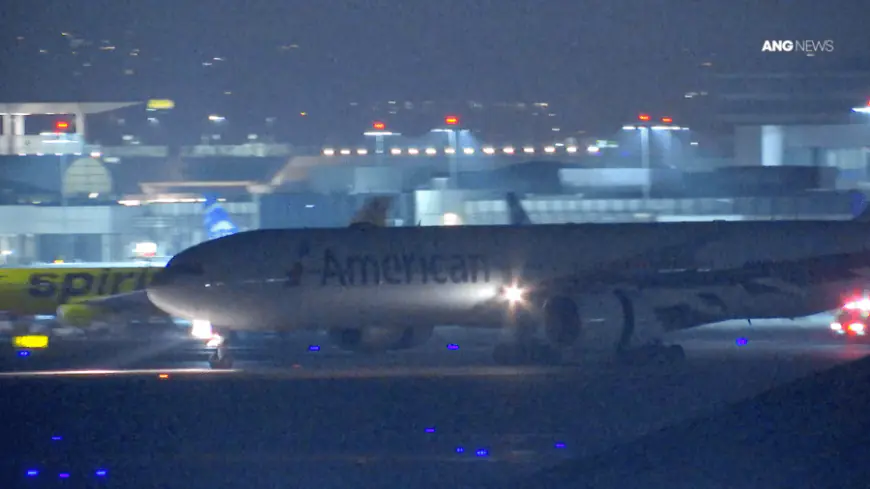 American Airlines flight makes emergency landing at LAX