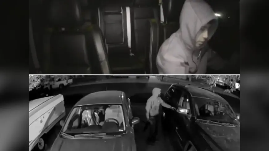 Brighton police warn of armed car break-ins involving juvenile suspects