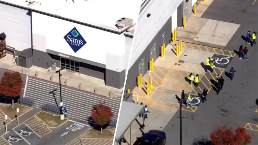 Maryland Sam's Club evacuated after raccoon runs inside