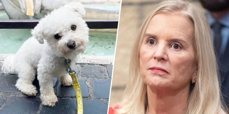 Kerry Kennedy details 'terrifying and violent' attack that killed her dog hours after mom Ethel died