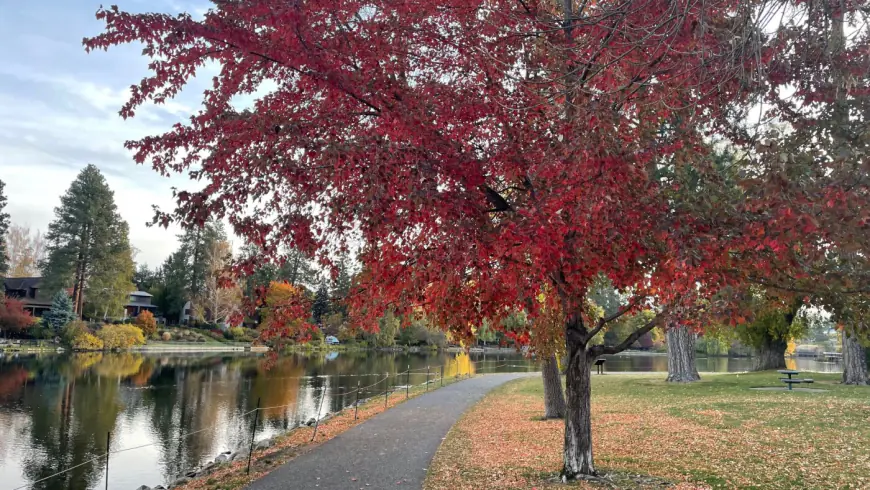 Opinion: Nature dazzles in autumn