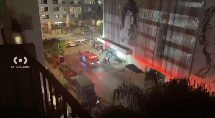 Suspect in fatal Hollywood stabbing at large