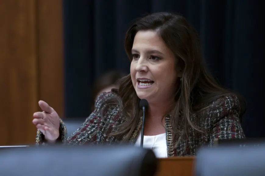 Elise Stefanik Dreams of Turtle Bay