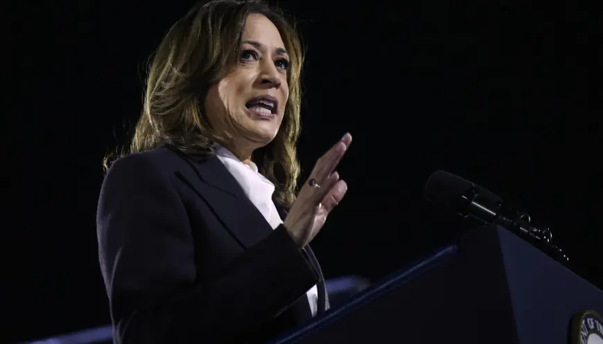 Kamala Harris delivers closing argument to voters: 3 key takeaways