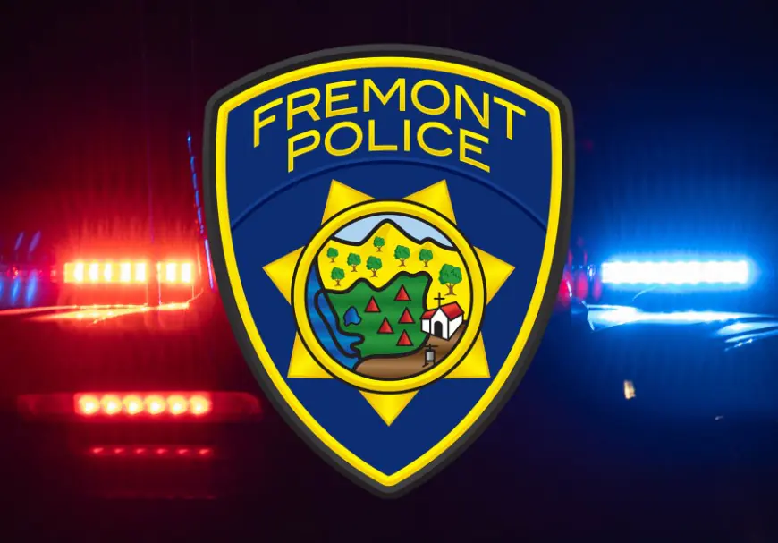 3-year-old struck, killed by vehicle in Fremont