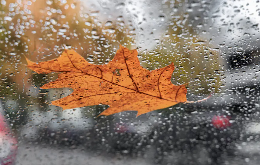 Chicago weather: ‘Fall storm' to bring winds, rain and storms into Halloween