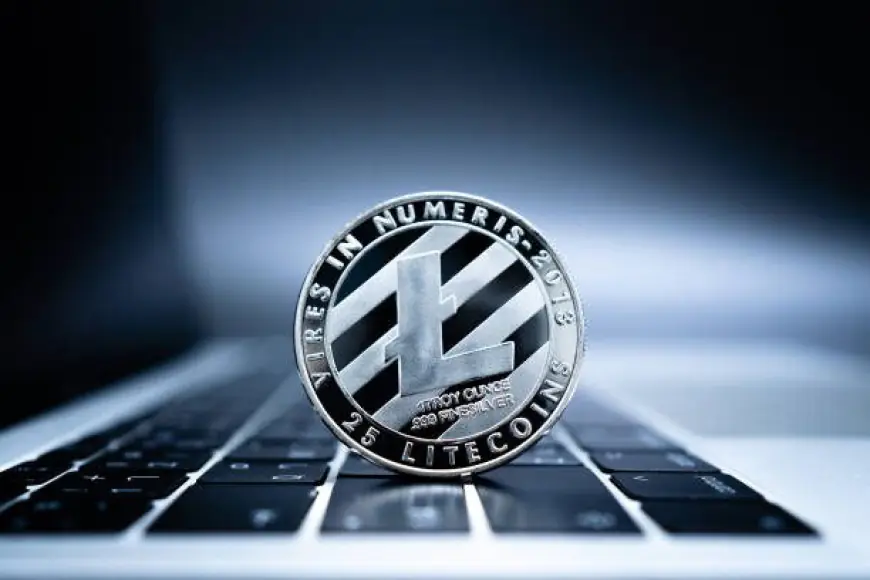 Litecoin’s Long-Term Holders Rank 2nd Only to Bitcoin, Beating Ethereum