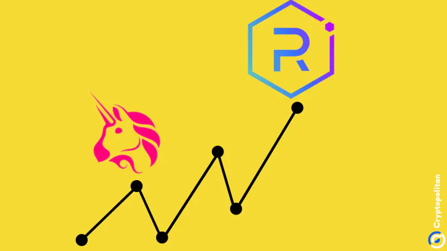 Raydium passes Uniswap to rise as the busiest DEX on meme token frenzy