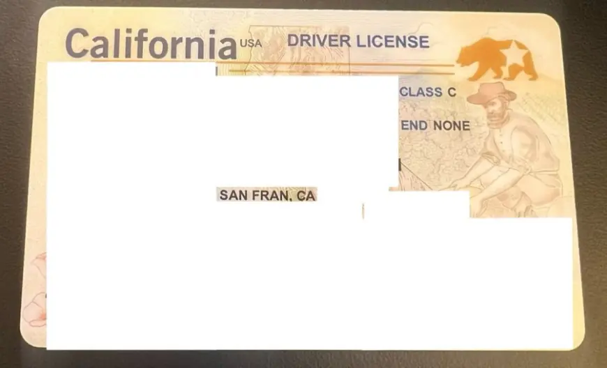 Sen. Wiener slams DMV's 'intolerable' use of 'San Fran' in driver's licenses