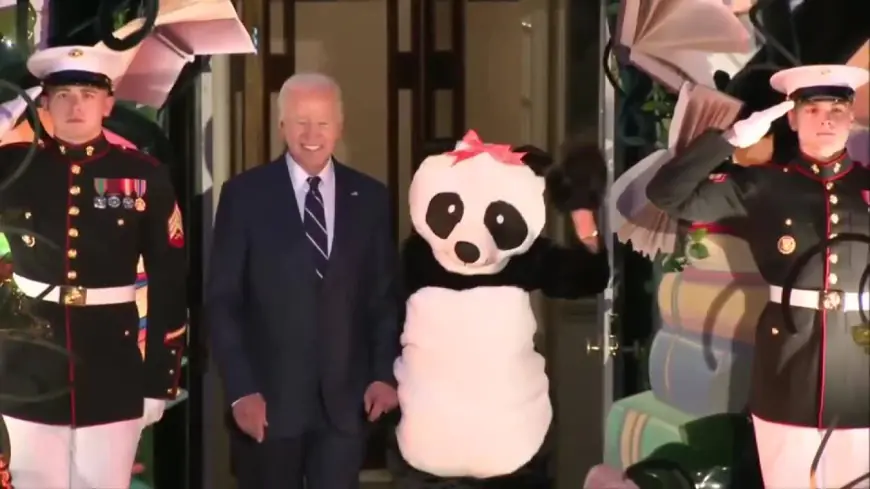 The Bidens hosted their final Halloween trick-or-treat event. The first lady came as a giant panda