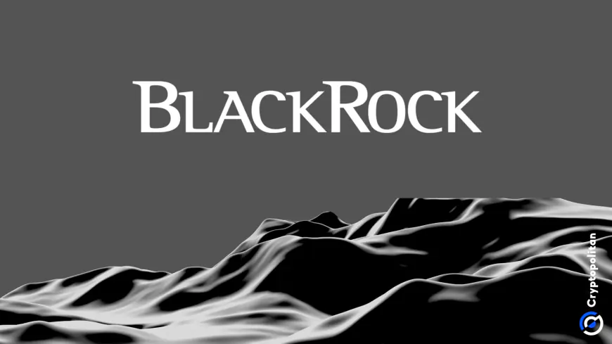 Blackrock aims to replicate Vanguard tax saving strategy