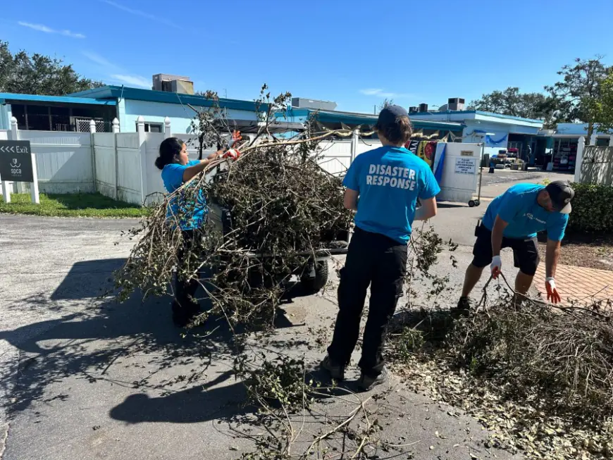 Marin Humane staff travel to storm-battered Tampa Bay for cleanup