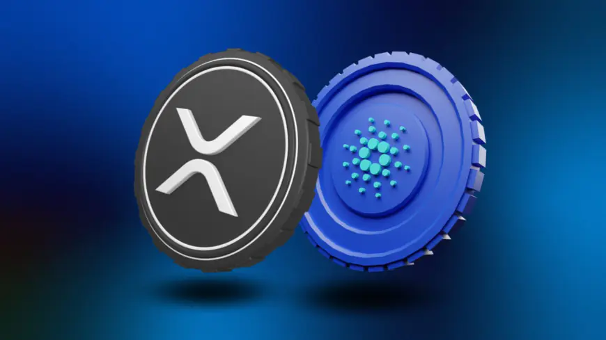 Cardano (ADA) and Ripple (XRP) Will Stay Stuck in December 2024 While RCOF Completes 8000x Run