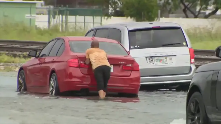 Will people leave Florida after devastating hurricanes? History suggests not