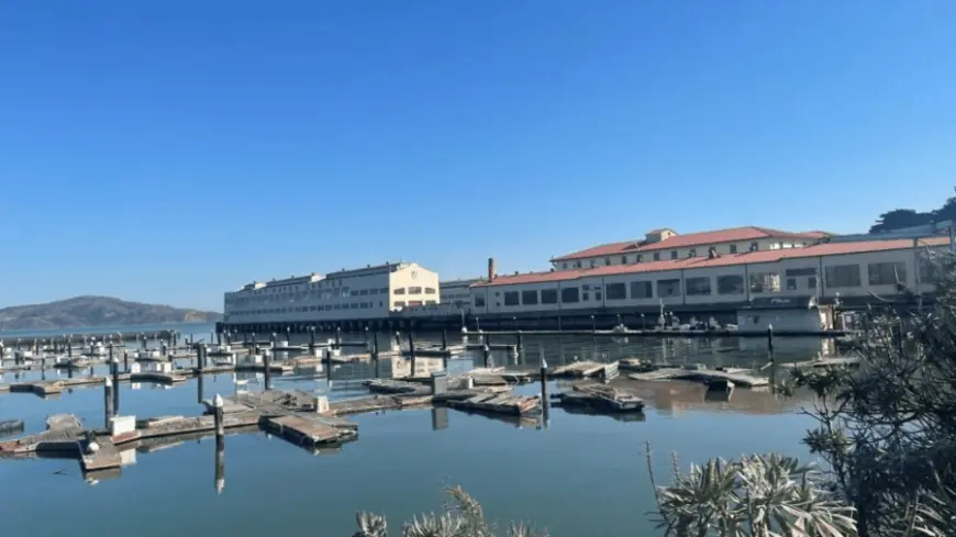 Where are all the docks in San Francisco's East Harbor Marina?