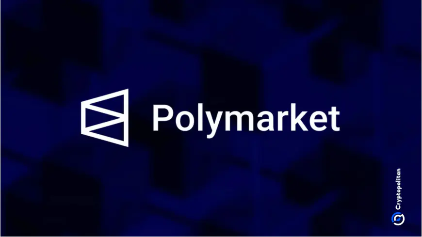 Polymarket whale carries large unrealized loss after injecting $7M in new Trump bets