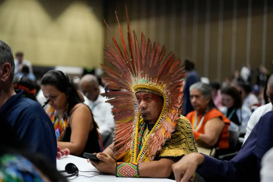 United Nations summit gives Indigenous groups voice on nature conservation decisions