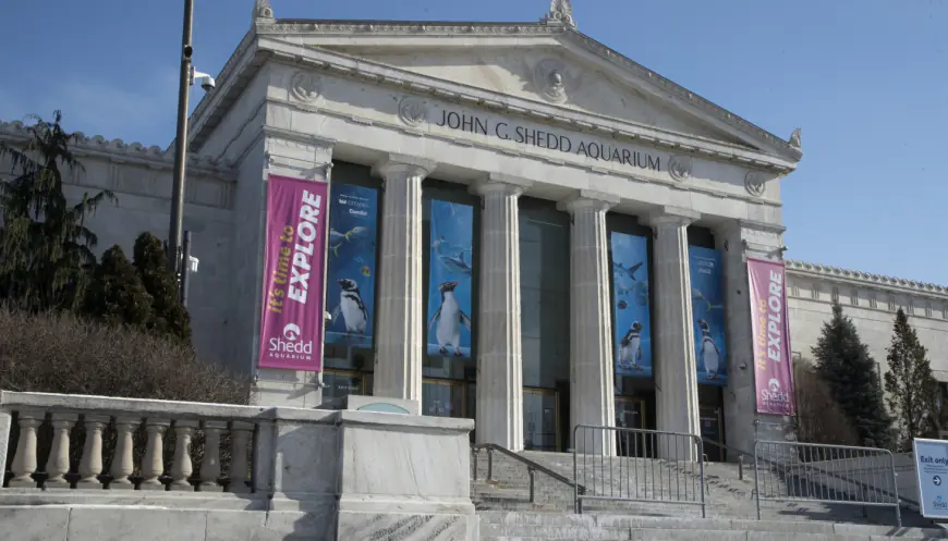 Workers at Shedd Aquarium vote to unionize