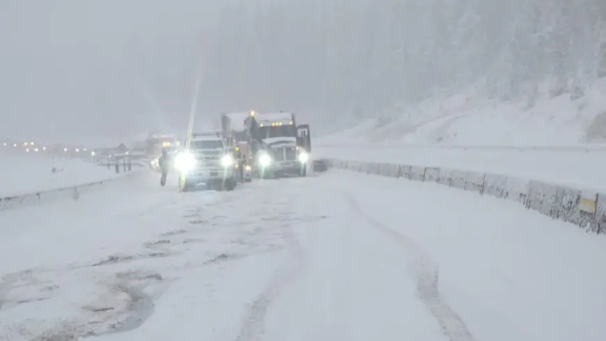 Snow totals from Colorado's widespread November storm near Denver metro area