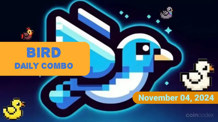 Bird Daily Combo for November 04, 2024 – Maximize Your Bird TON Rewards