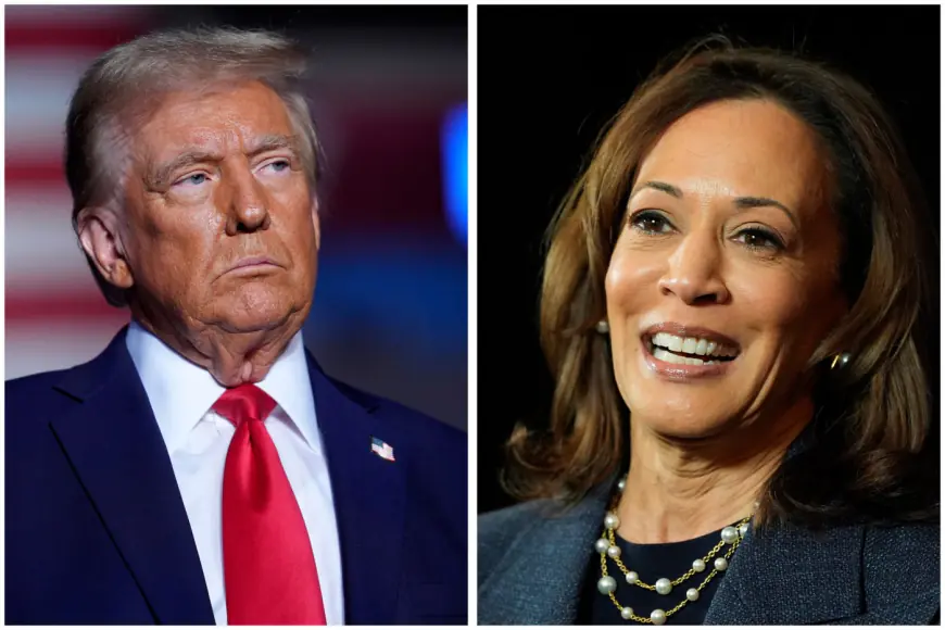 Which celebrities have endorsed Kamala Harris or Donald Trump?