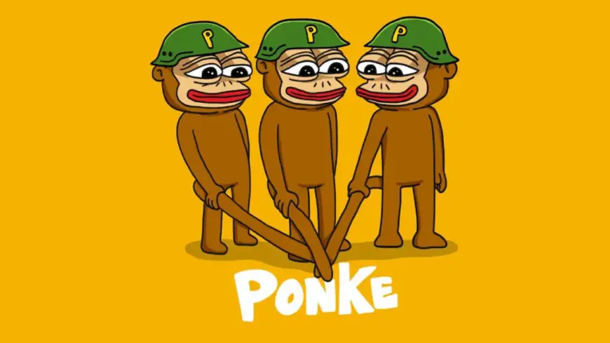 Binance Launches PONKE Perpetual Contract, Shaking Up Memecoin Prices