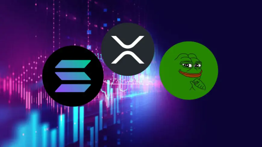 Want to Multiply Your Investment 100x? Here Is How Solana, XRP, Pepe, and XYZVerse Could Make It Happen!