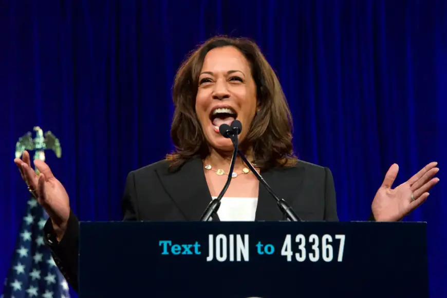 If She Loses, Part 2: Kamala’s Campaign Didn’t Resonate