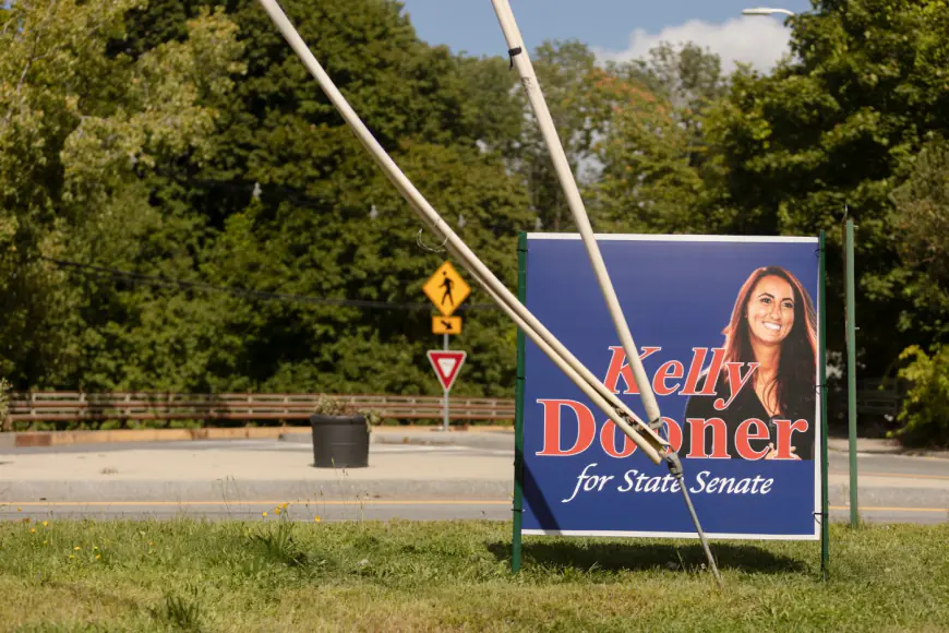 Taunton Republican Kelly Dooner declares victory in Southeastern Mass. Senate race