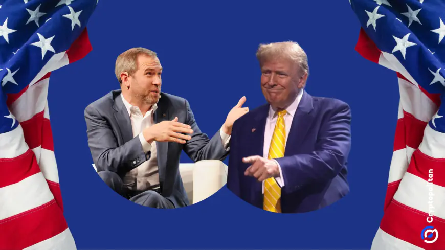 Ripple’s Garlinghouse suggests issues President Trump should address in his first 100 days in office