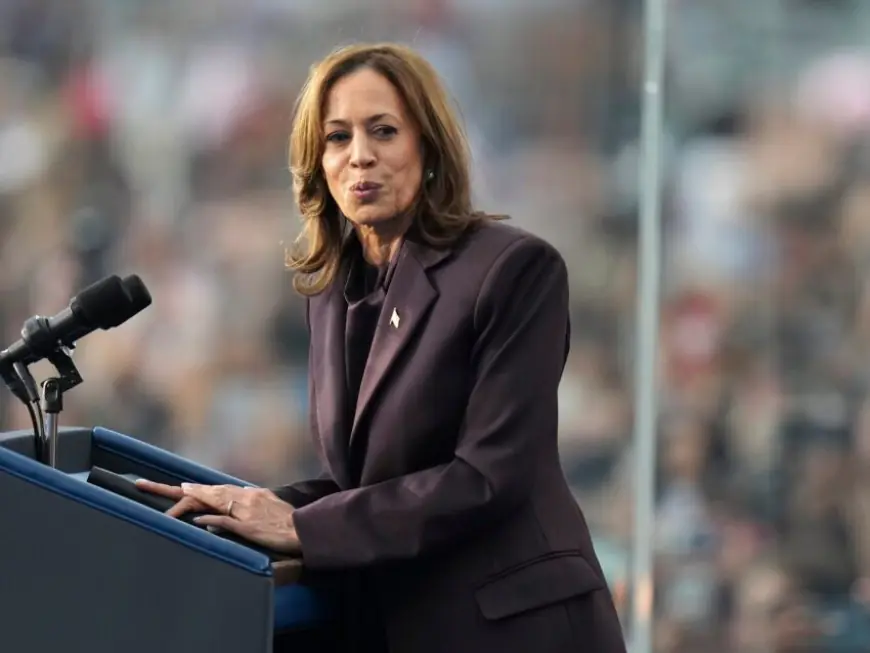 Harris says nation must accept election results while urging supporters to keep fighting