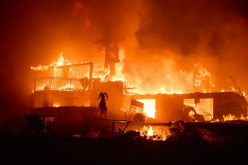 Wild winds fuel Southern California wildfire that has forced thousands to evacuate