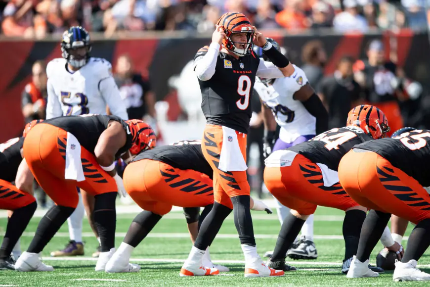 NFL Week 10 Thursday night Bettors Guide: Bengals at Ravens