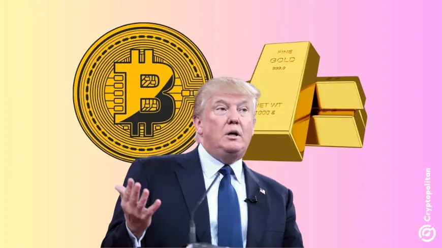 Trump’s return will benefit gold and bitcoin, says JPMorgan