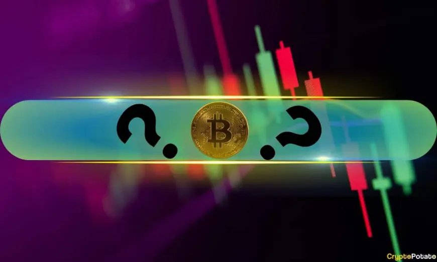 Double-Digit Price Surges From These Altcoins as Bitcoin (BTC) Eyes $80K (Weekend Watch)