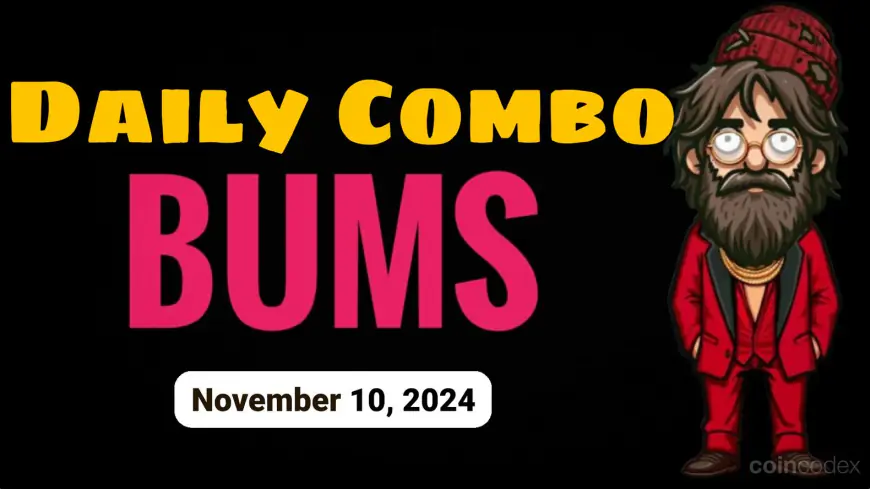 Bums Daily Video Codes and Lottery Combo – November 10, 2024