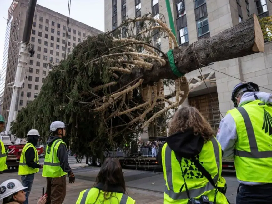 Rockefeller Center Christmas Tree from Mass. arrives in NYC