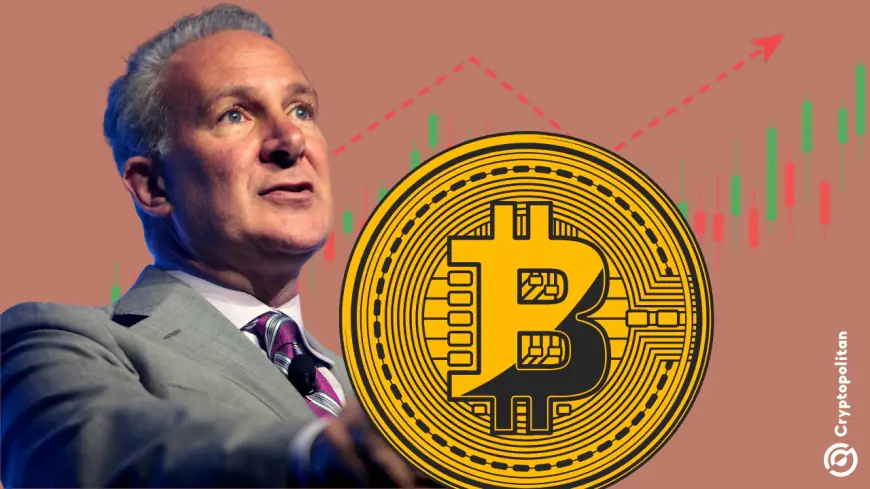 Peter Schiff: Bitcoin’s rise has nothing to do with its supposed fundamentals; It’s a Trump-inspired mania