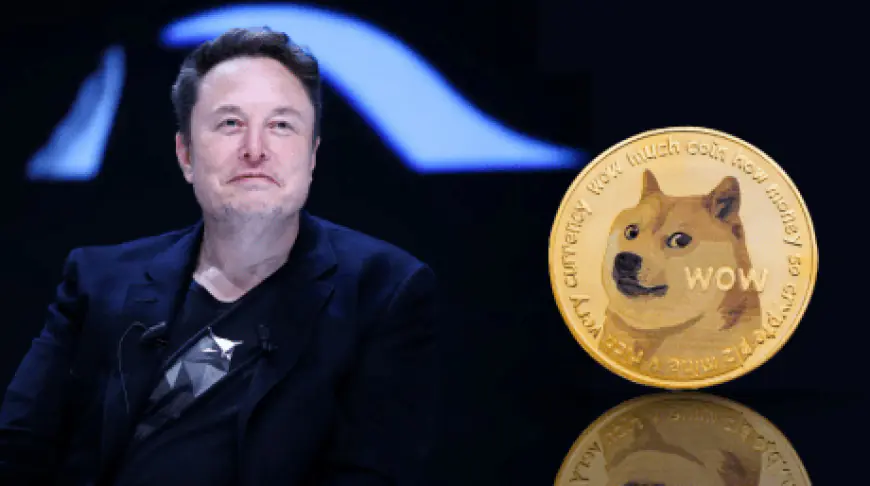 Dogecoin Unleashes 157% Weekly Boom As Musk-Trump Buzz Builds