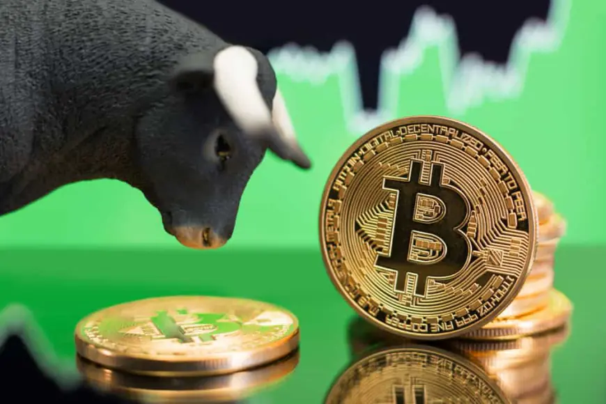 The Best Yet to Come for Bitcoin? This Analyst Thinks So