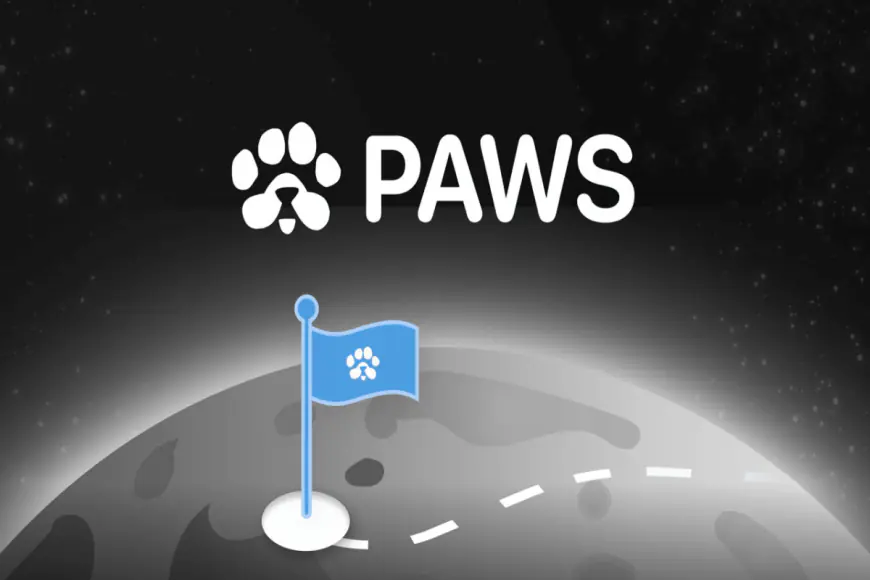 Paws Airdrop: The Newest Clone of Dogs on Telegram