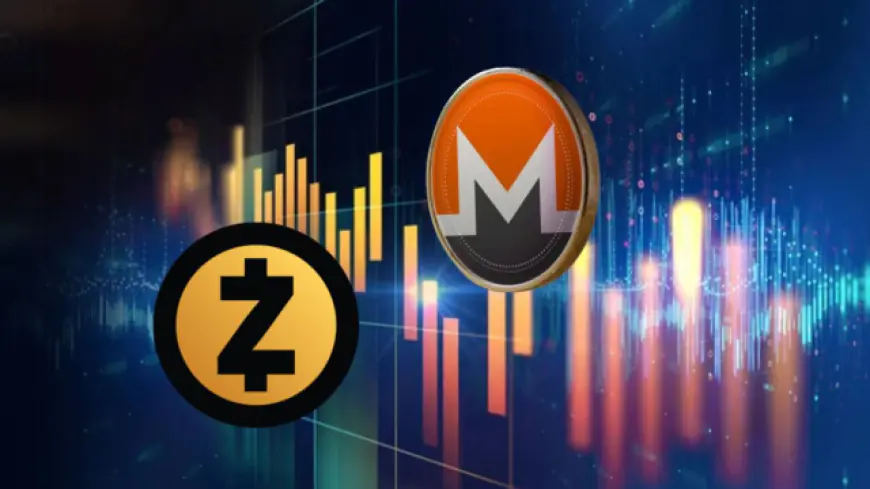 Final Privacy Strongholds: Are Monero & Zcash Ready for a Breakout This November?