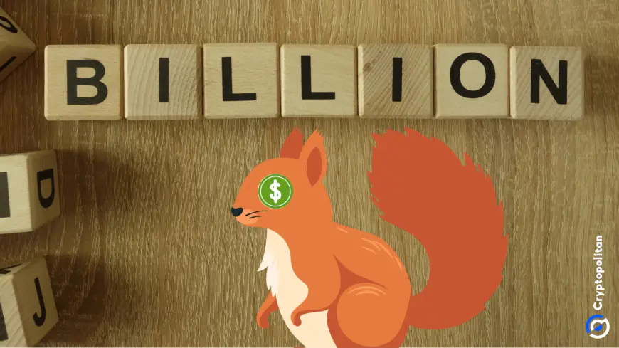 Peanut the Squirrel (PNUT) joins the $1B meme club