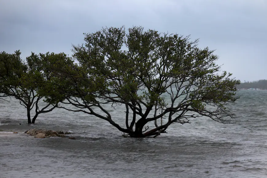 Last King Tide cycle of the year prompts coastal flood statements in South Florida